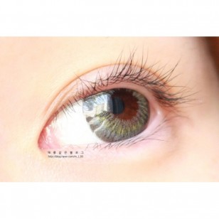 LENSME Mega Look M3 GRAY(月拋)